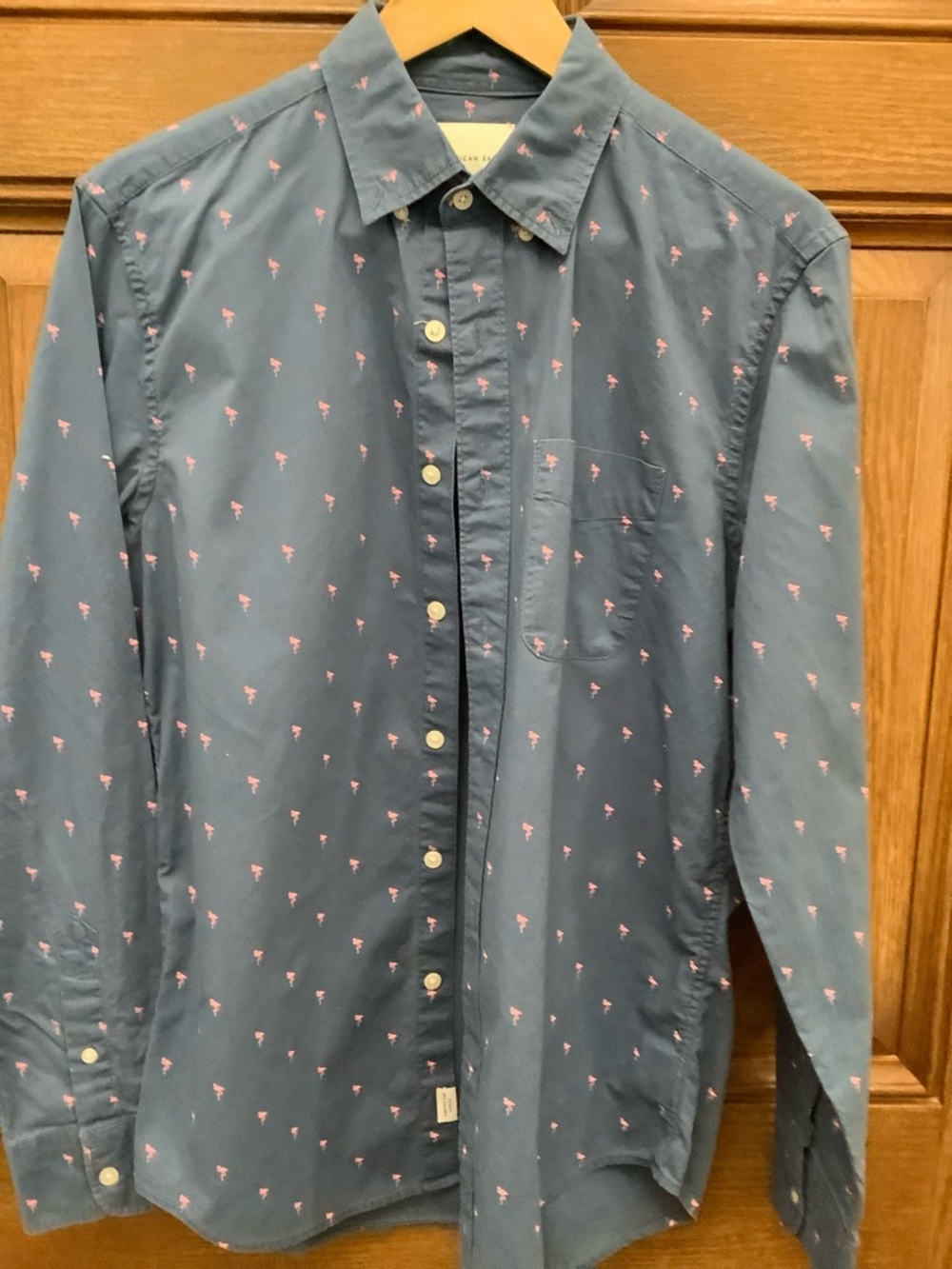 American Eagle Outfitters Navy Button-Down Shirt with Pink Micro Pattern